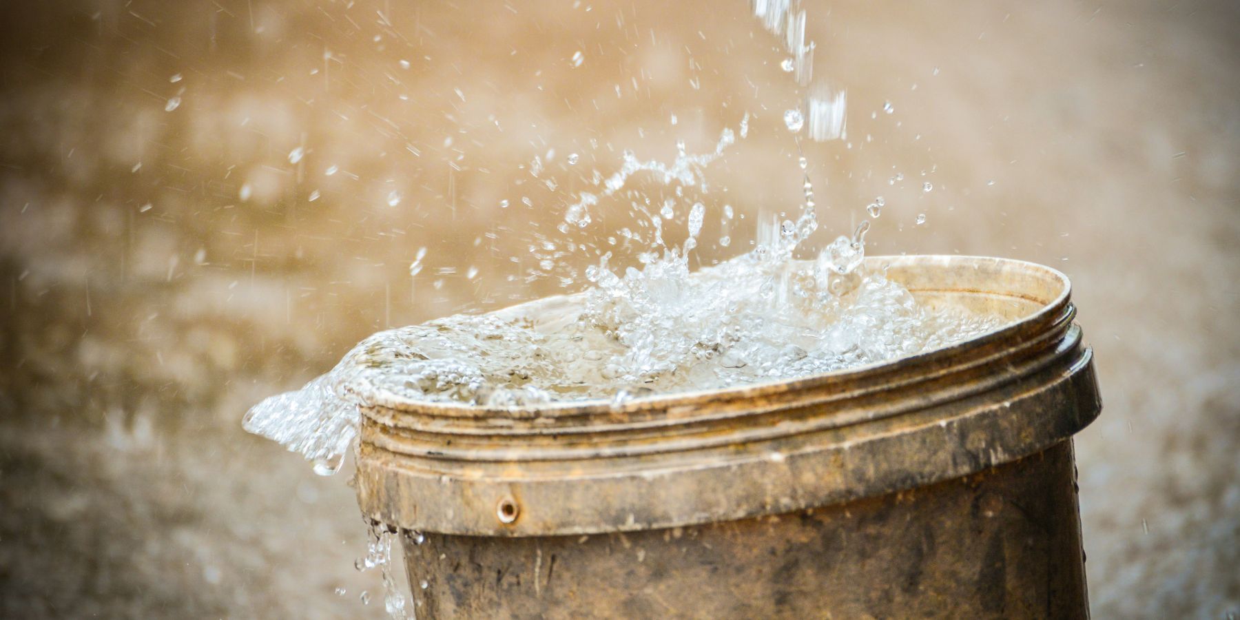 Exploring the Purity and Contaminant Concerns of Rainwater