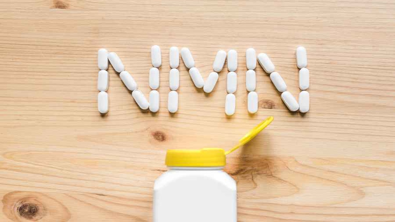 Top Reasons to Buy NMN Powder in Bulk from GSH World